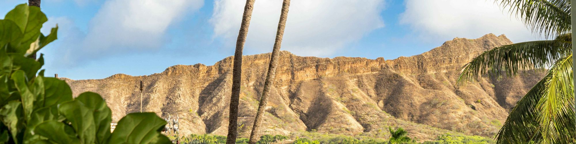 A scenic view of a mountain with lush greenery and palm trees beneath a blue sky with clouds.