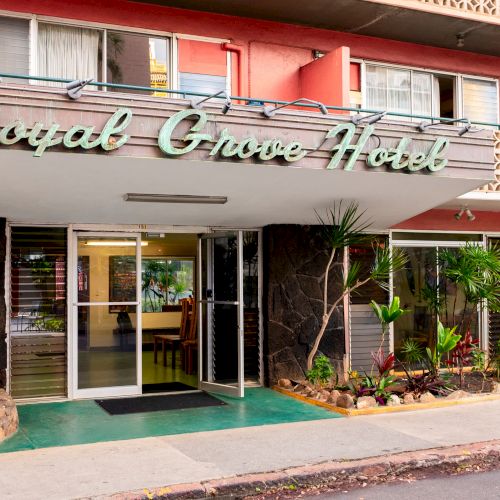 The image shows the entrance of the Royal Grove Hotel, featuring a neon sign and plants lining the entrance area.