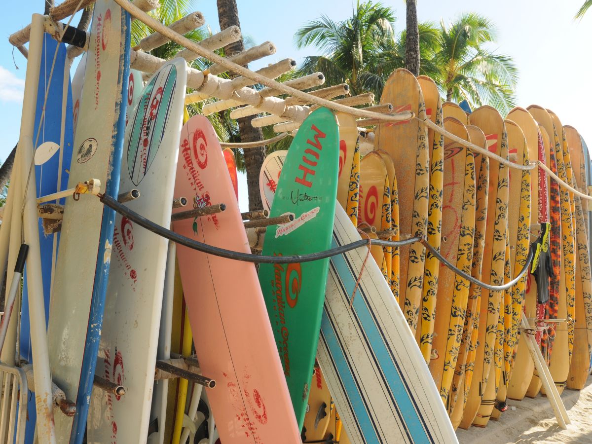 Colorful surfboards lined up on racks at the beach, with palm trees in the background.